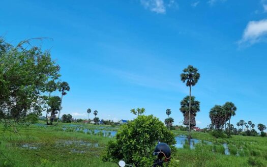 Land for Sale in Kampong Kandal