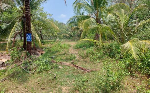 Land For Sale in Tor Teoung Tngai   ***PRICE REDUCED***