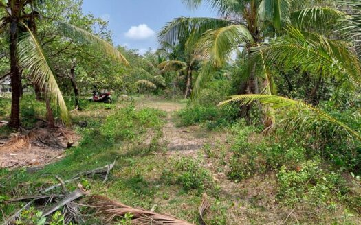 Land For Sale in Tor Teoung Tngai   ***PRICE REDUCED***