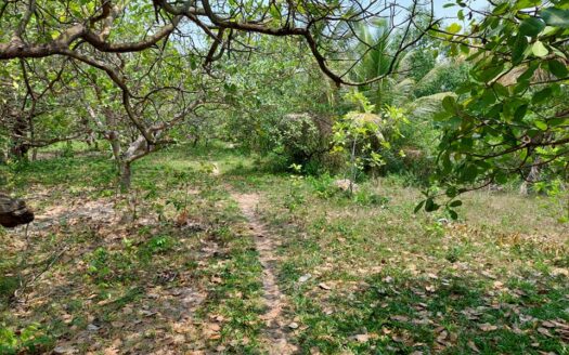 Land For Sale in Tor Teoung Tngai   ***PRICE REDUCED***