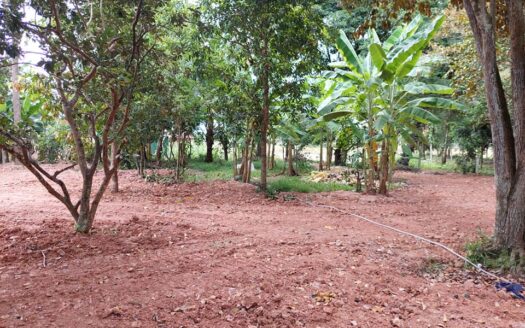 Land For Sale in Steung Keo