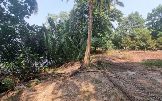 Riverfront Land for Sale in Kampot