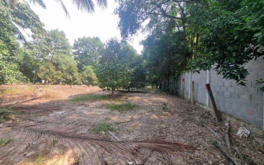 Riverfront Land for Sale in Kampot