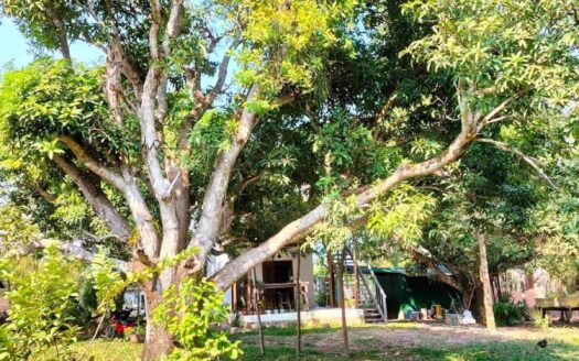 House and Land For Sale in Anduong Khmer