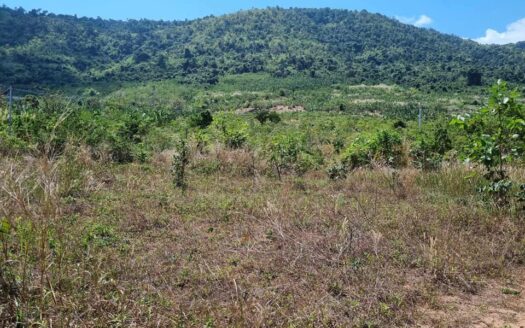 Land For Sale in Steung Kaev