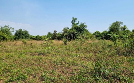 Land For Sale in Steung Kaev