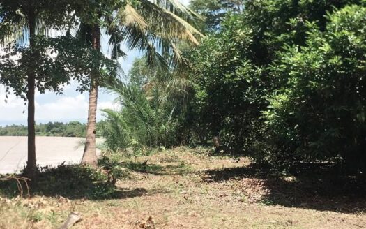 3.5 Hectare Plot of Land with 300 Meters on the Riverfront in Kamot