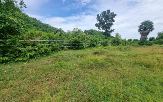 Land For Sale in Phnom Sar (White Mountain area)