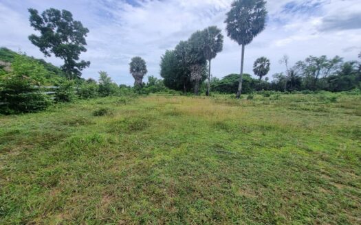 Land For Sale in Phnom Sar (White Mountain area)