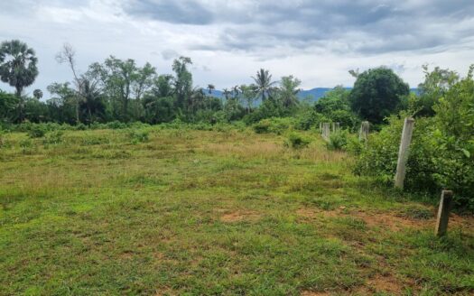 Land For Sale in Phnom Sar (White Mountain area)