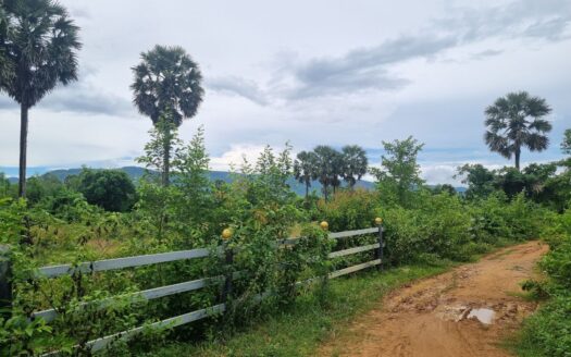 Land For Sale in Phnom Sar (White Mountain area)