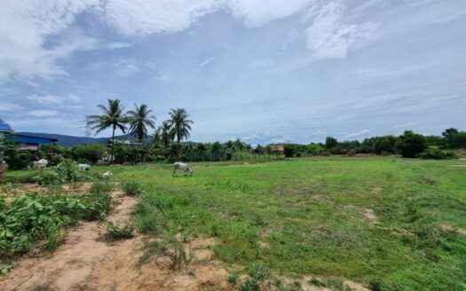 Land For Sale in Anduong Khmer Village