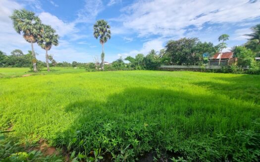 Land For Sale in Anduong Khmer Village