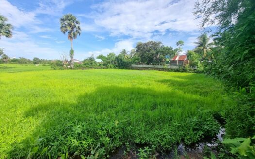 Land For Sale in Anduong Khmer Village