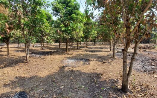 Riverside Land For Sale in Kampot!!    **REDUCED**