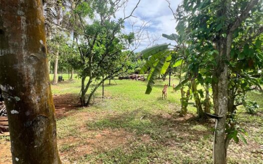 Riverside Plots For Sale in Steung Keo