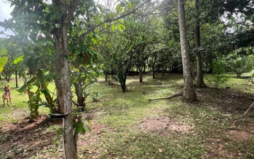 Riverside Plots For Sale in Steung Keo