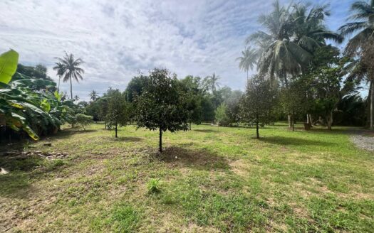 Riverside Plots For Sale in Steung Keo