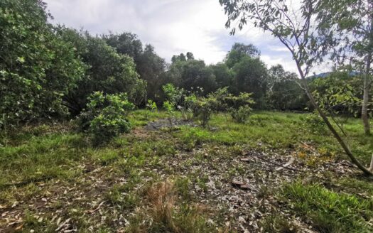 Land For Sale in Anduong Khmer!!