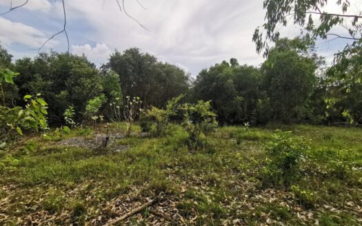 Land for sale in Ta Deb village!!