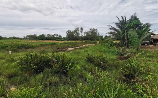 Land For Sale in Kampong Samraong!!