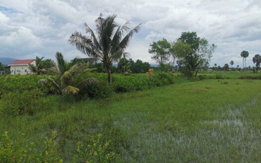 Land For Sale in Kampong Samraong!!