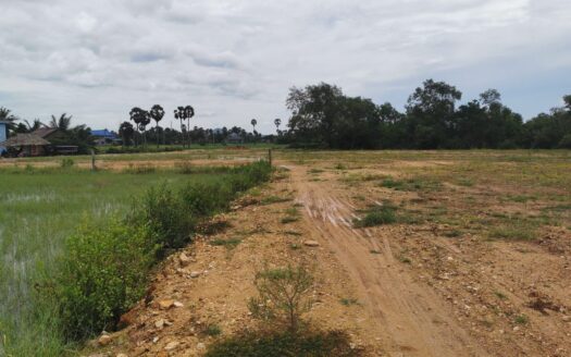 Land For Sale in Kampong Samraong!!