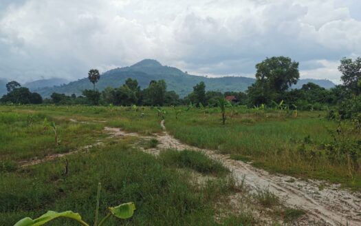 Land For Sale in Anduong Khmer Village!!