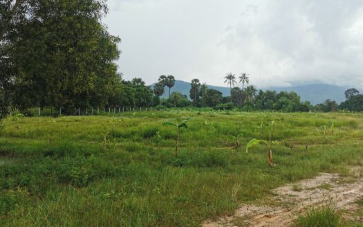 Land For Sale in Anduong Khmer Village!!