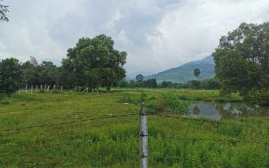 Land For Sale in Anduong Khmer Village!!