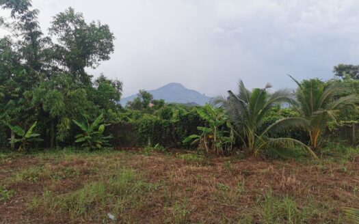 Land For Sale in Ou Touch