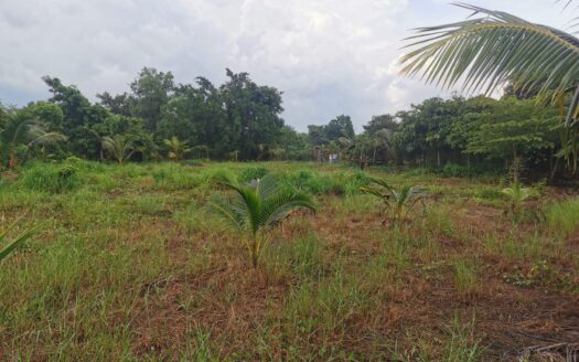 Land For Sale in Ou Touch