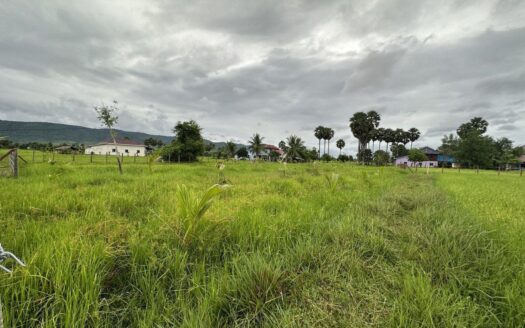 Land For Sale in Vat Ang Village!!