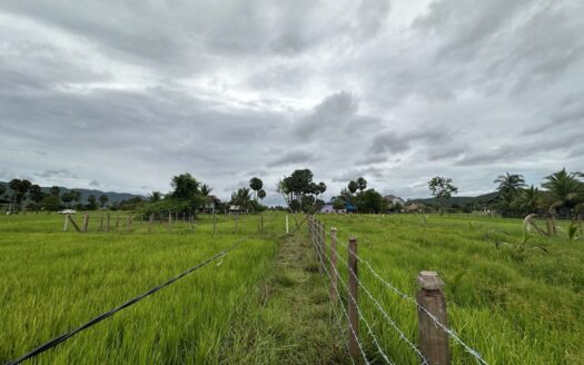 Land For Sale in Vat Ang Village!!