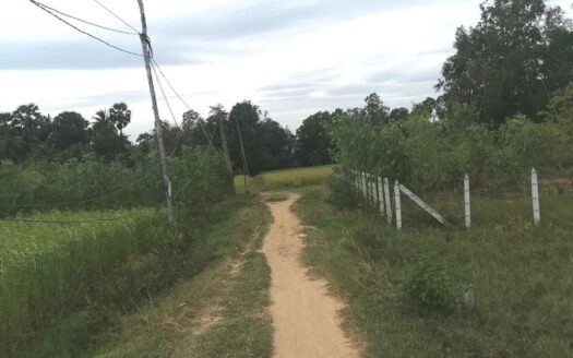 Land For Sale in Trosek Korng Village