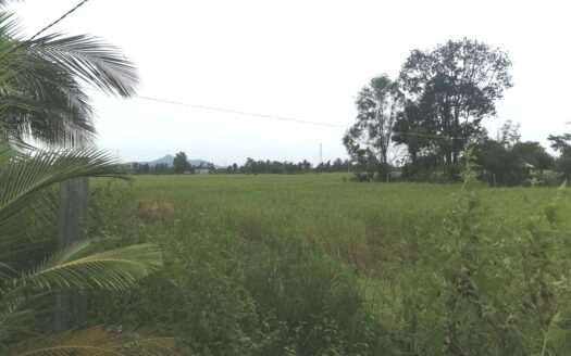 Land For Sale in Trosek Korng Village